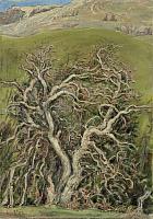 Hildenbrand, Wilder Baum im WinterBernau, 1936, OelLw, 97.5 x 69 cm
